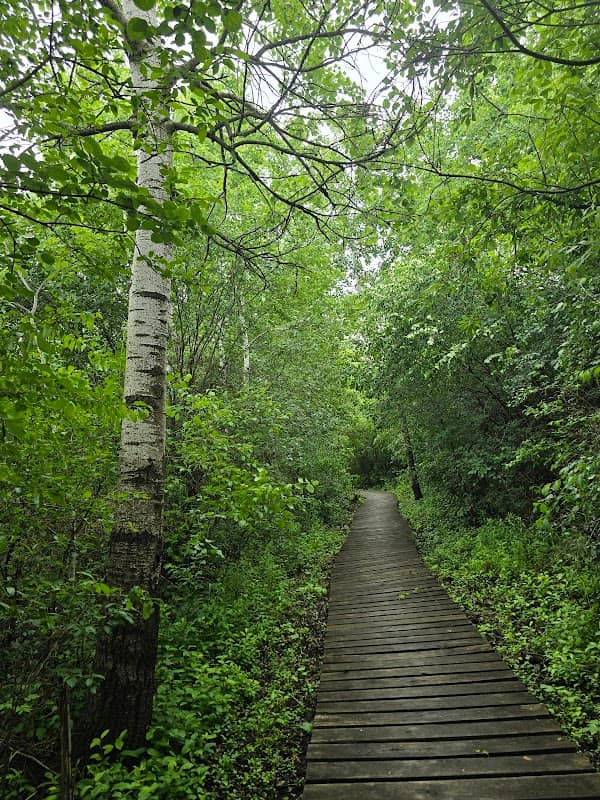 Hartland Marsh Preserve (Cottonwood Wayside) - Image 1