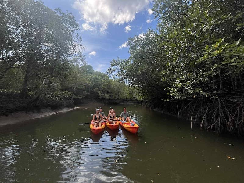 Kayak tour & Rental - Image 2