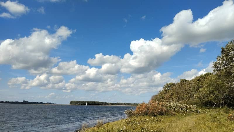 Goudplaat - Image 1