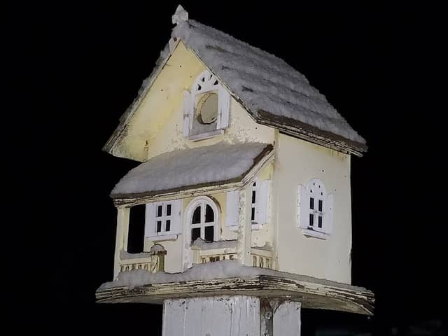 Bird House Park - Image 2