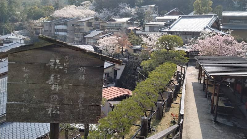龍髯の松 - Image 1