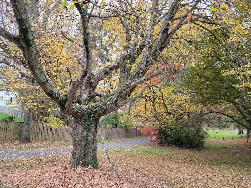 Peterson Lane Park - Image 2