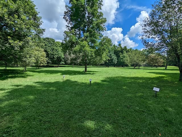 Sycamore Creek Park Arboretum - Image 2