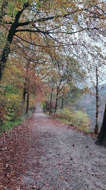 Ingleborough Estate Nature Trail - Image 2