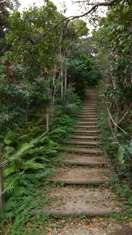 辺土名湖 - Image 1