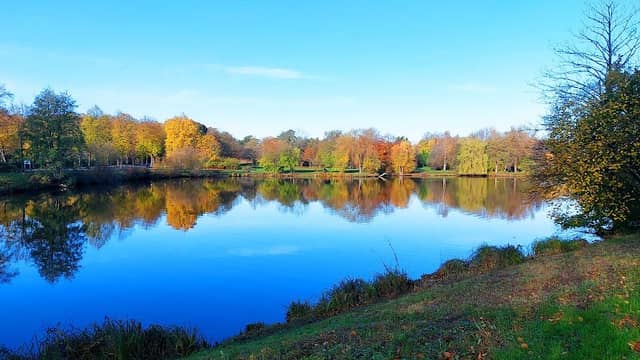 Friedericipark - Image 1