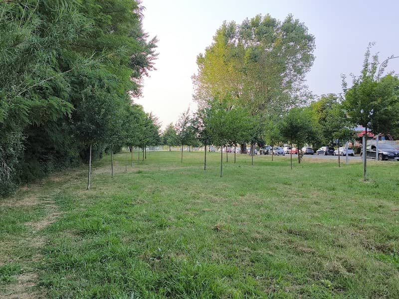 Parco dell' alberone - Image 1