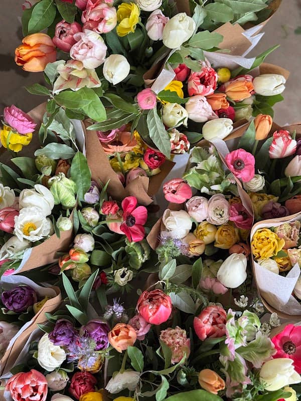 Wilderbloom Gardens Flower Farm - Image 1