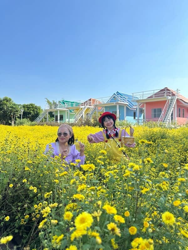 ทุ่งเก๊กฮวยสวนผึ้ง - Image 2