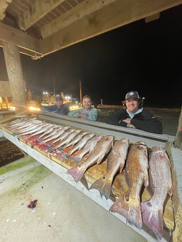 Midnight Blue Bowfishing Charters and Alligator Hunts - Image 1