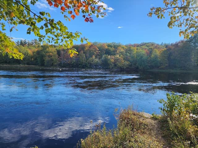 French Falls Recreation Area - Image 2