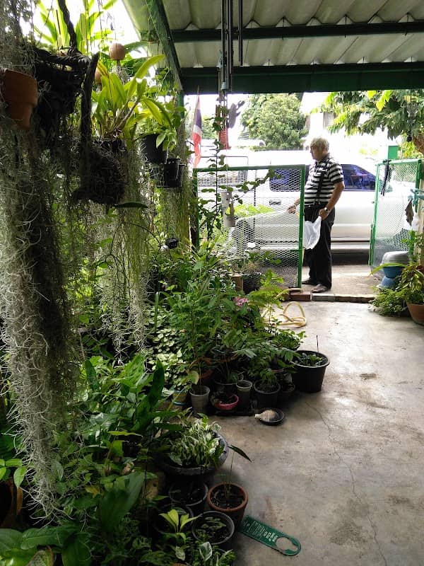 สวนในเมืองบ้านศิรินันท์ - Image 1