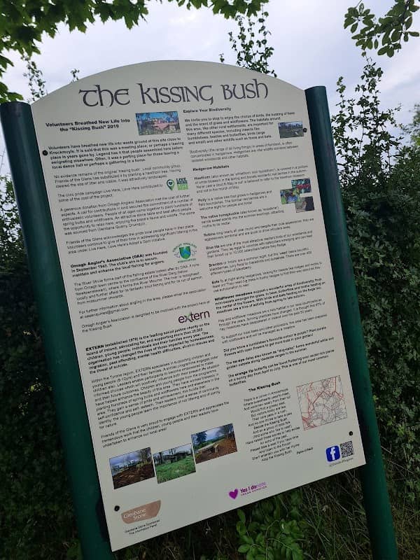 The Kissing Bush - Image 1