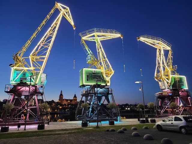 Craneosaurs - Image 1