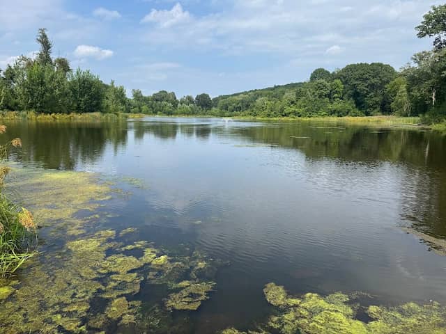 Still Brook pond - Image 1