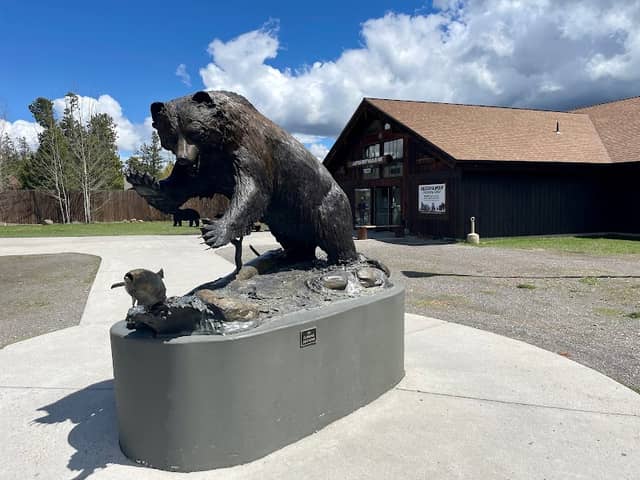 Grizzly & Wolf Discovery Center - Image 1