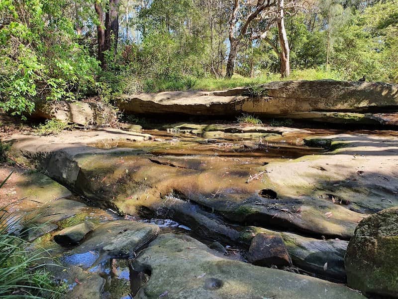 Marri Badoo Reserve - Image 1