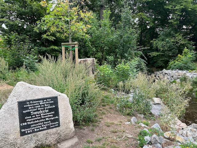 Gedenkstein an das Waldsterben - Image 1