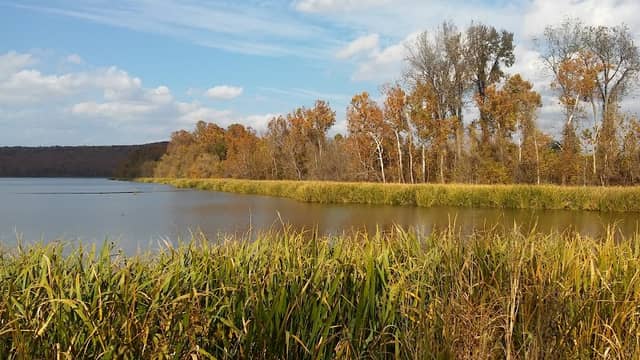 Sequoyah National Wildlife Refuge - Image 2
