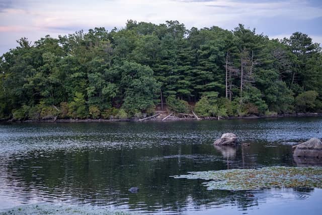 D.W. Field Park - Image 1