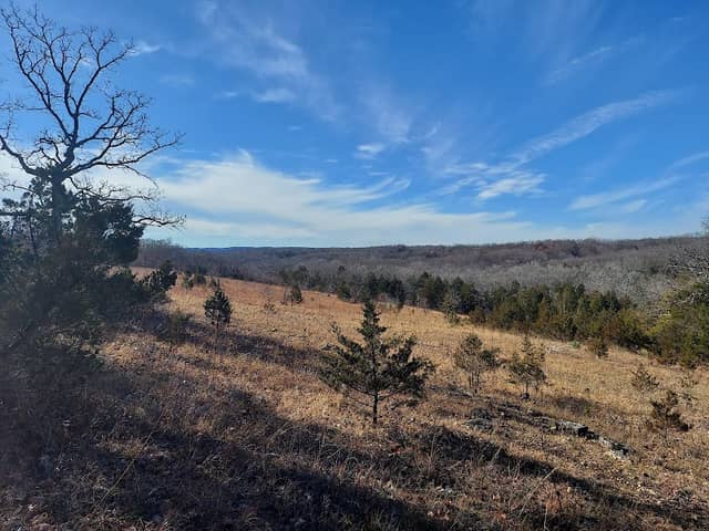 Victoria Glades Conservation Area - Image 1
