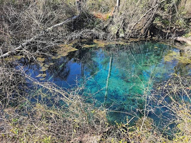 Twin Rivers Wildlife Management Area - South Mill Creek Tract - Image 1
