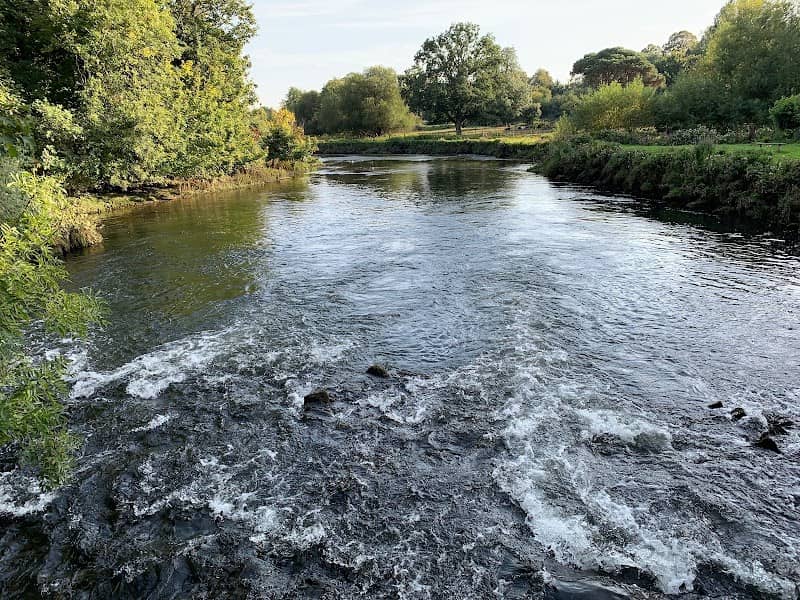 River Test Boardwalk - Image 1