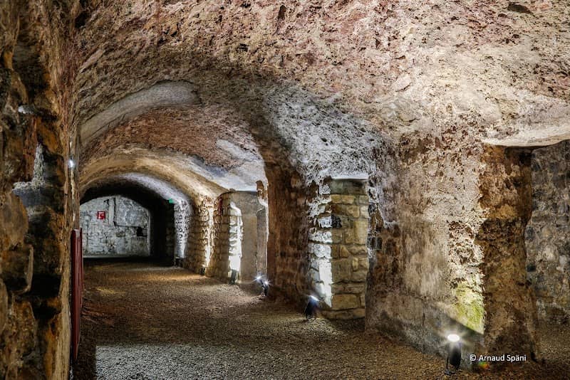 Roman Granary Museum - Image 1
