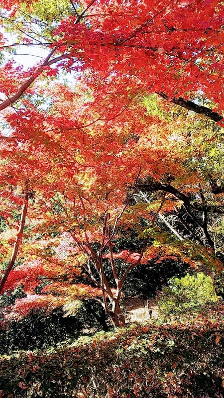 Monomiyama Park - Image 1