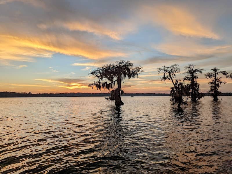 Lake Martin, LA - Image 3