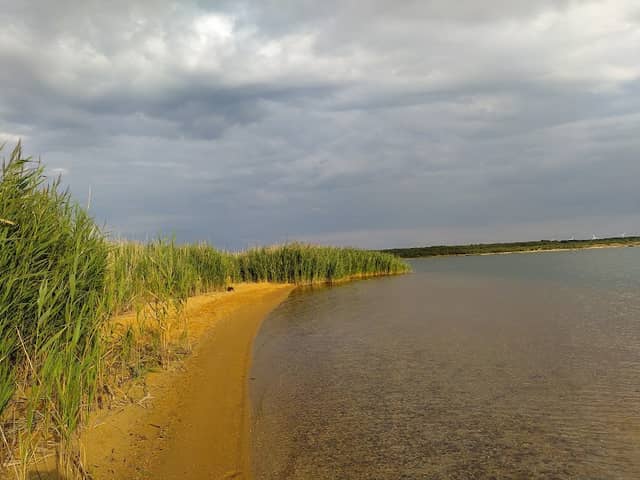 Aussichtspunkt Spreetaler See - Image 1