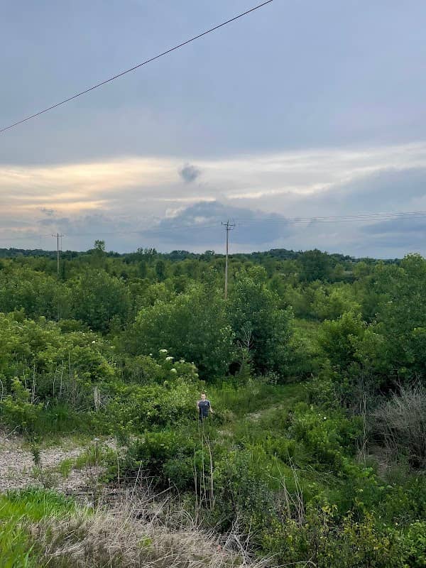 Otter Creek Forest Preserve - Image 2