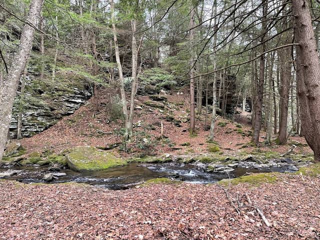 Sand Run Falls - Image 1