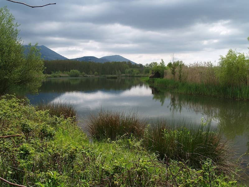 Parco Pantanello - Image 1