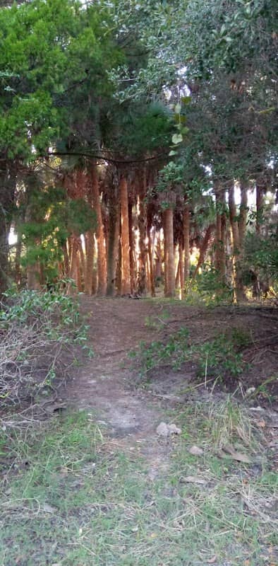 Deer Prairie Creek - Image 2
