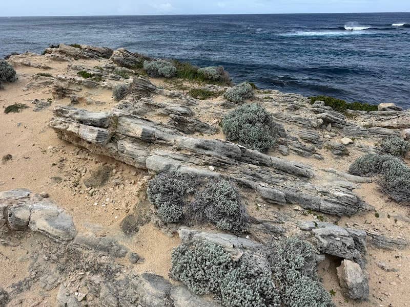 Mary Cove - Image 3