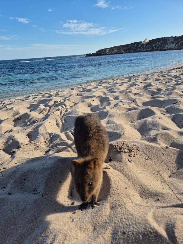 Mary Cove - Image 2