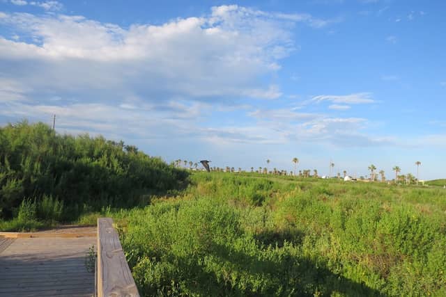 Xeriscape Park - Image 2