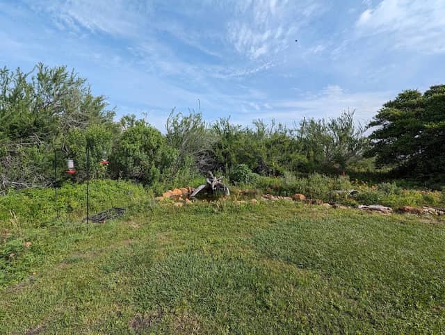 Xeriscape Park - Image 1