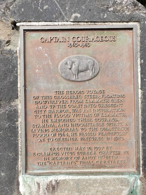 Captain Courageous Marker - Image 2