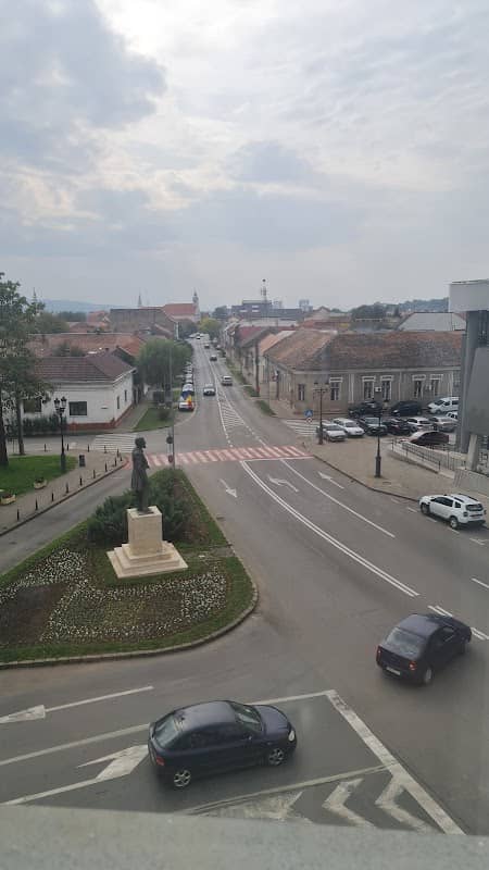 Statue of Ion I. C. BRĂTIANU - Image 2