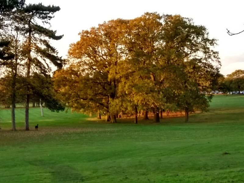 Stewart Park - Image 1