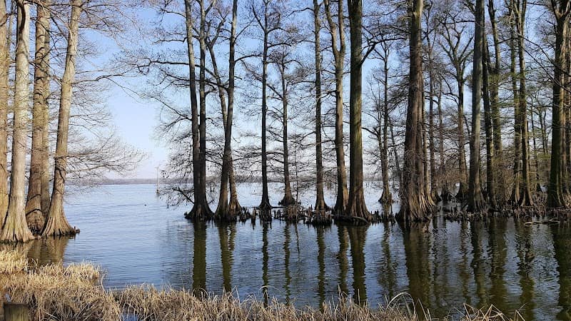 Reelfoot Lake State Park - Image 2