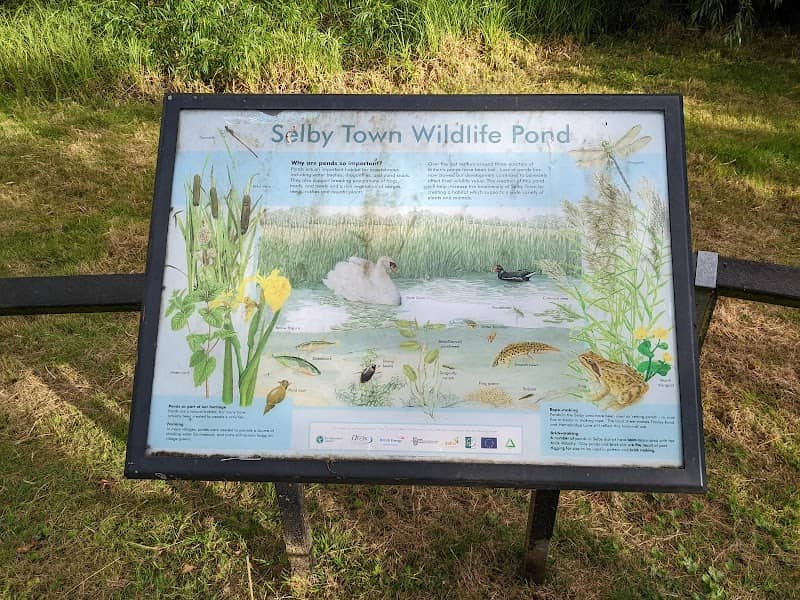 Selby Wildlife Pond - Image 3