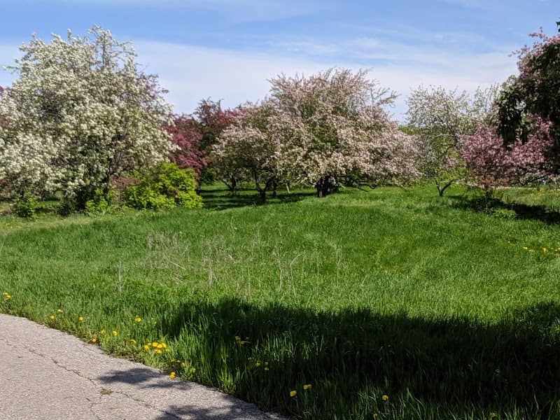 Orchard Glen Park - Image 1