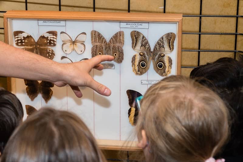 Museum of Natural History - Image 2