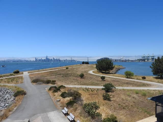 Chappell Hayes Observation Tower - Image 1