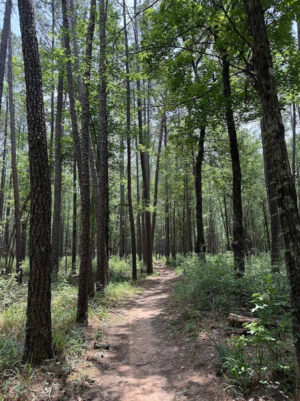 Lone Star Hiking Trail - Trailhead #9 - Image 1