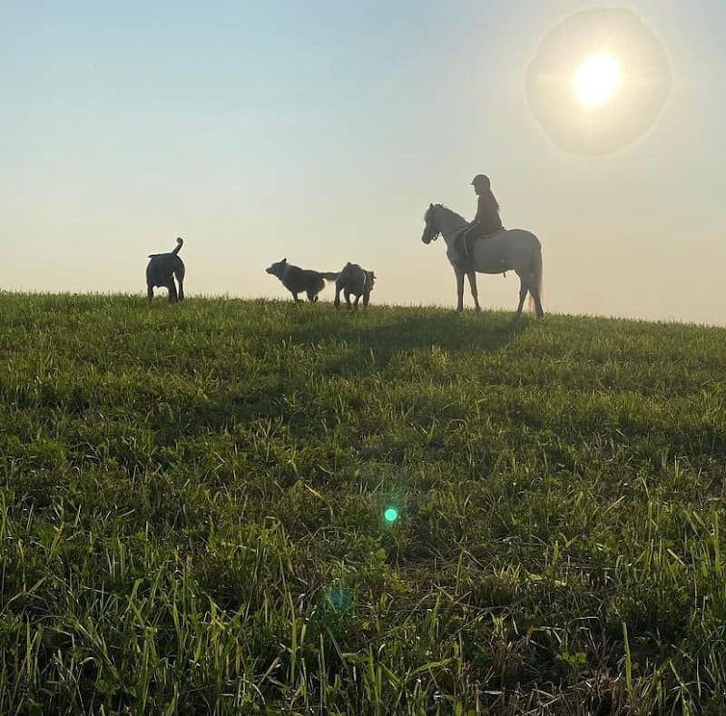 Full Circle Ranch - Image 1