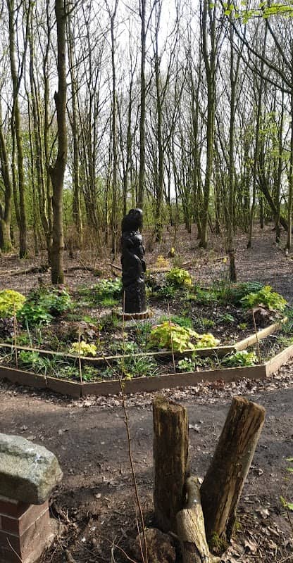 Burtonwood Nature Park - Image 1